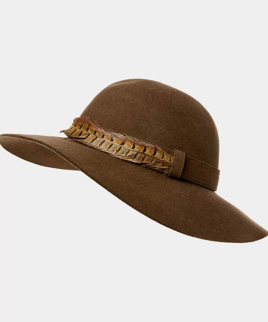 Fashion Joe Browns Alexis Feather Trim Hat Chocolate