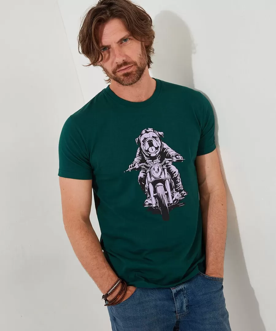 Online Joe Browns Barry On A Bike Tee Green