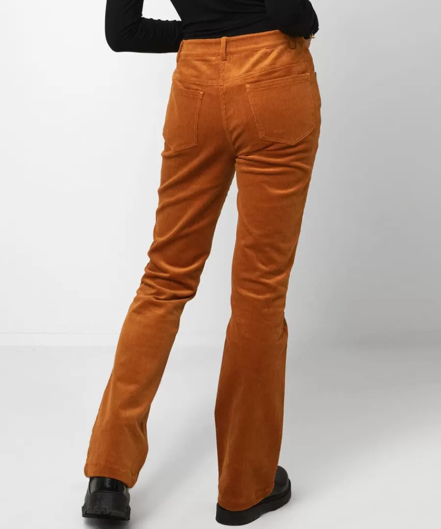 Online Joe Browns Beautiful Bootcut Cords Tan / Teal / Black