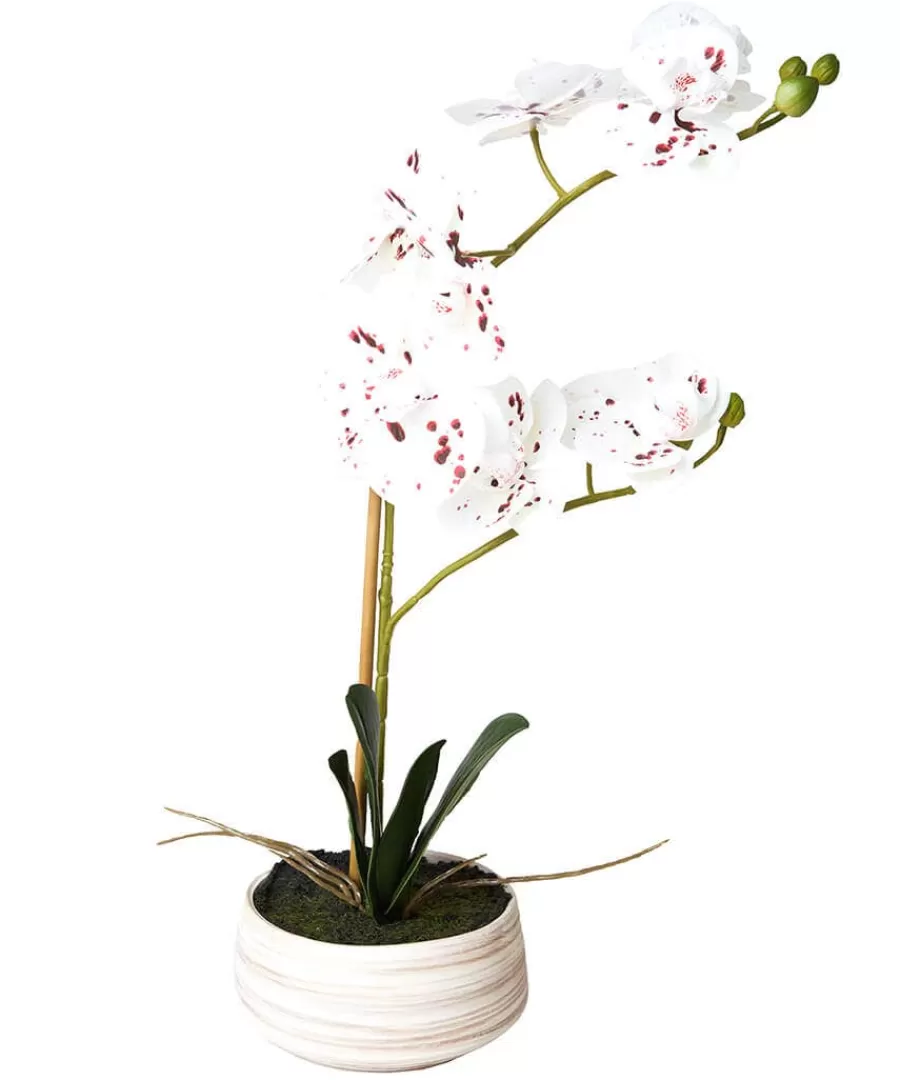 Sale Joe Browns Blooming Marvellous Speckled Orchid White