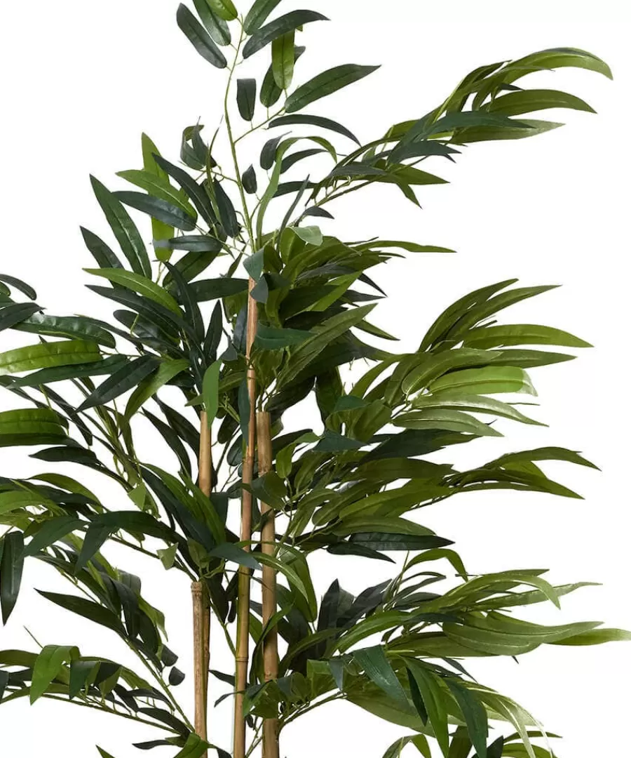Fashion Joe Browns Brilliant Bamboo Plant Green