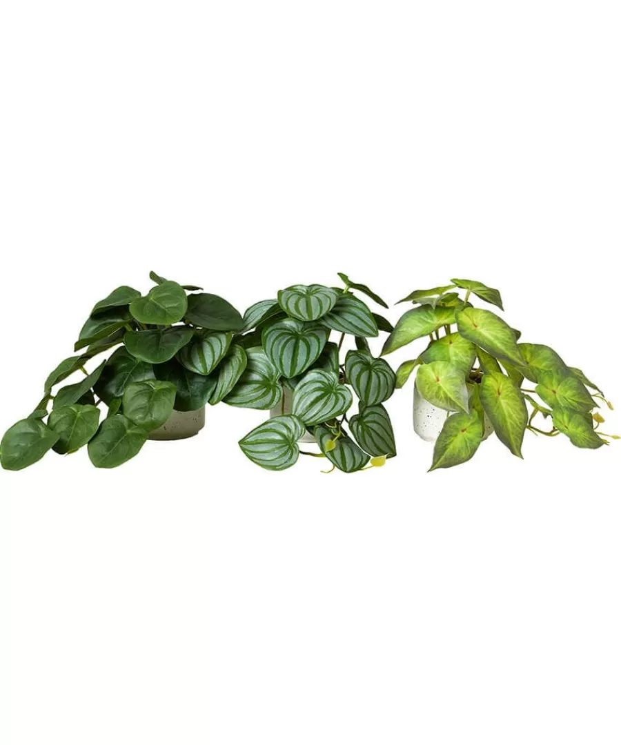 Fashion Joe Browns Luscious ery In Speckled Ceramic Pots Green
