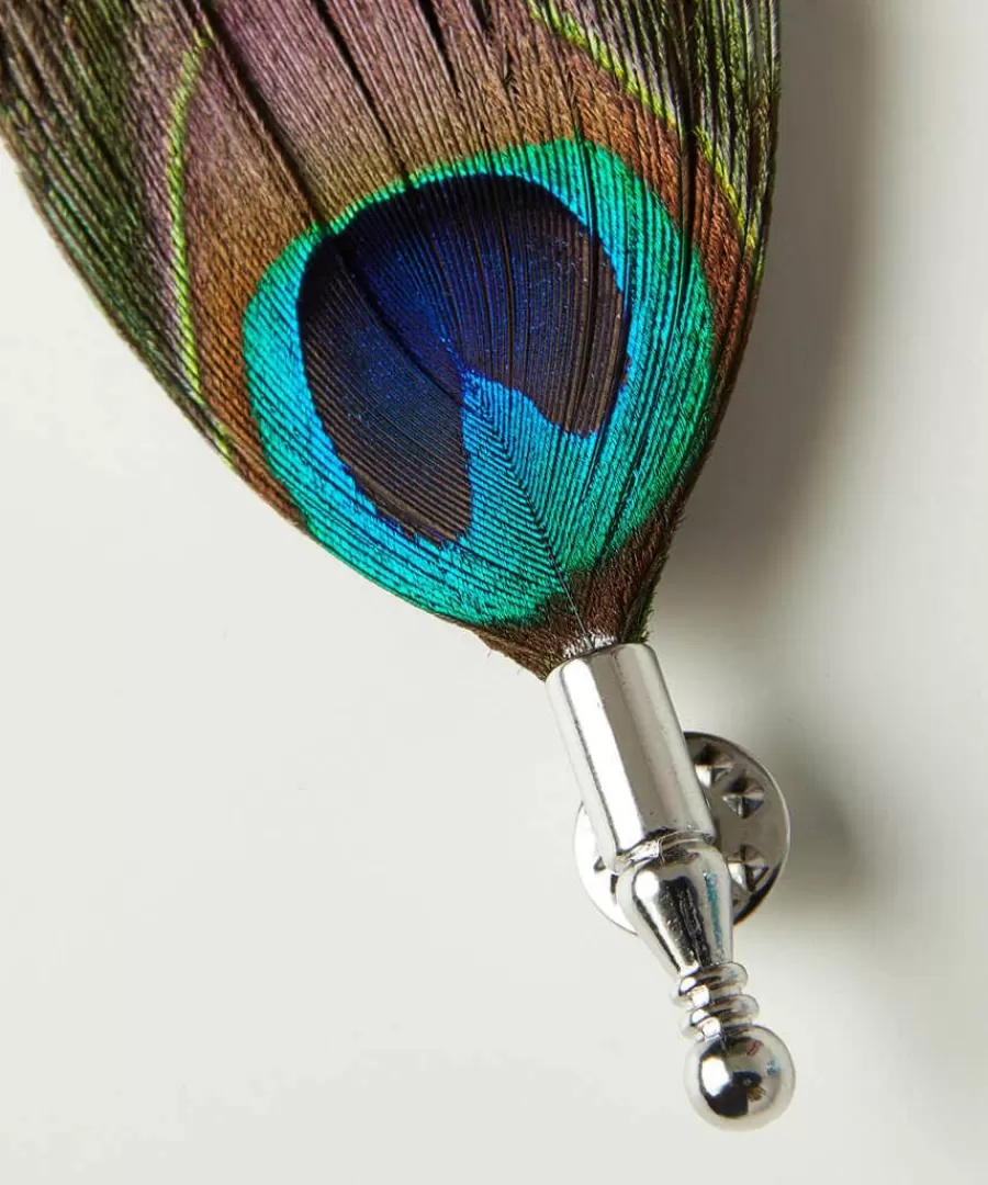 Fashion Joe Browns Luxury Peacock Feather Pin Multi