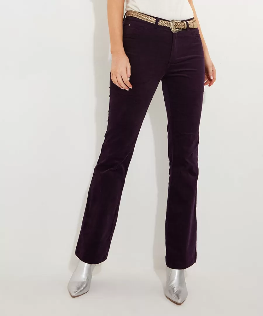 New Joe Browns Magnificent Moleskin Trousers Purple