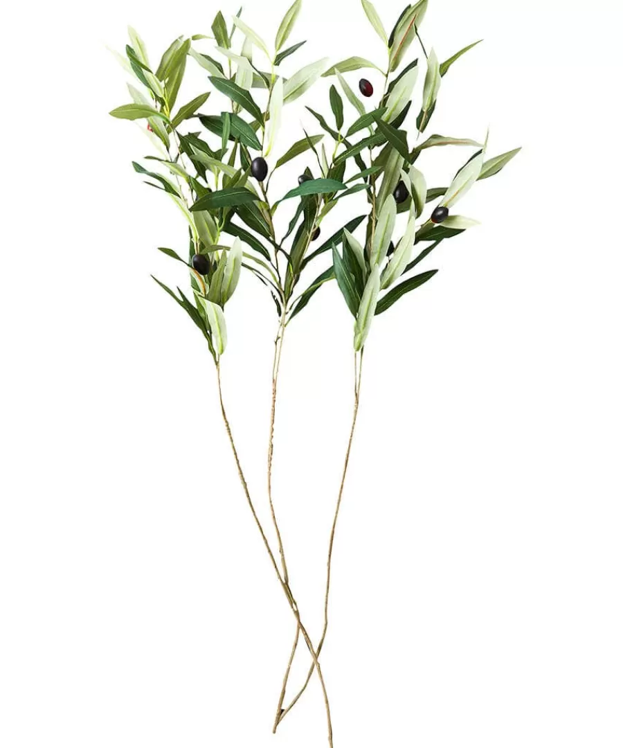 Sale Joe Browns Oh So Lovely Olive Branches (Pack Of 3) Green