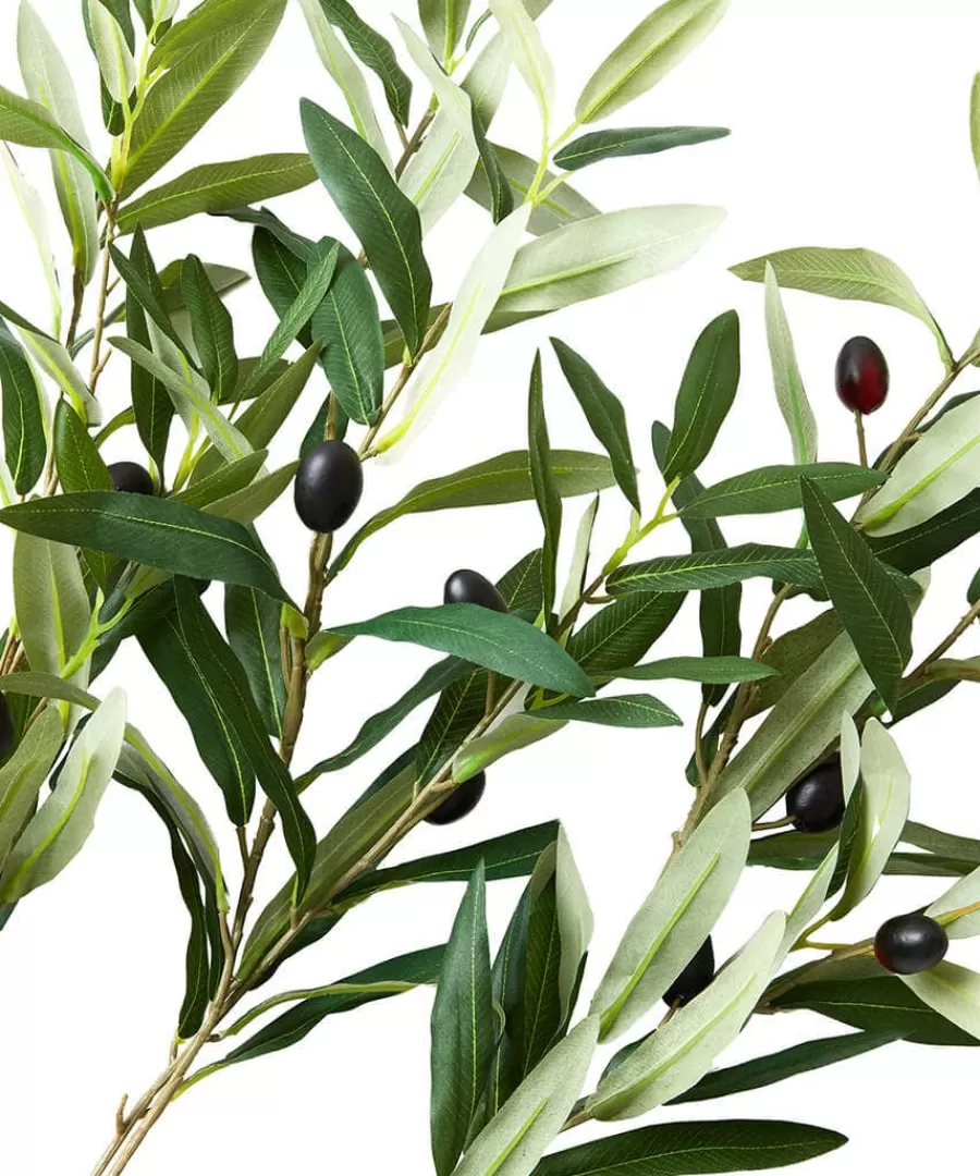 Sale Joe Browns Oh So Lovely Olive Branches (Pack Of 3) Green