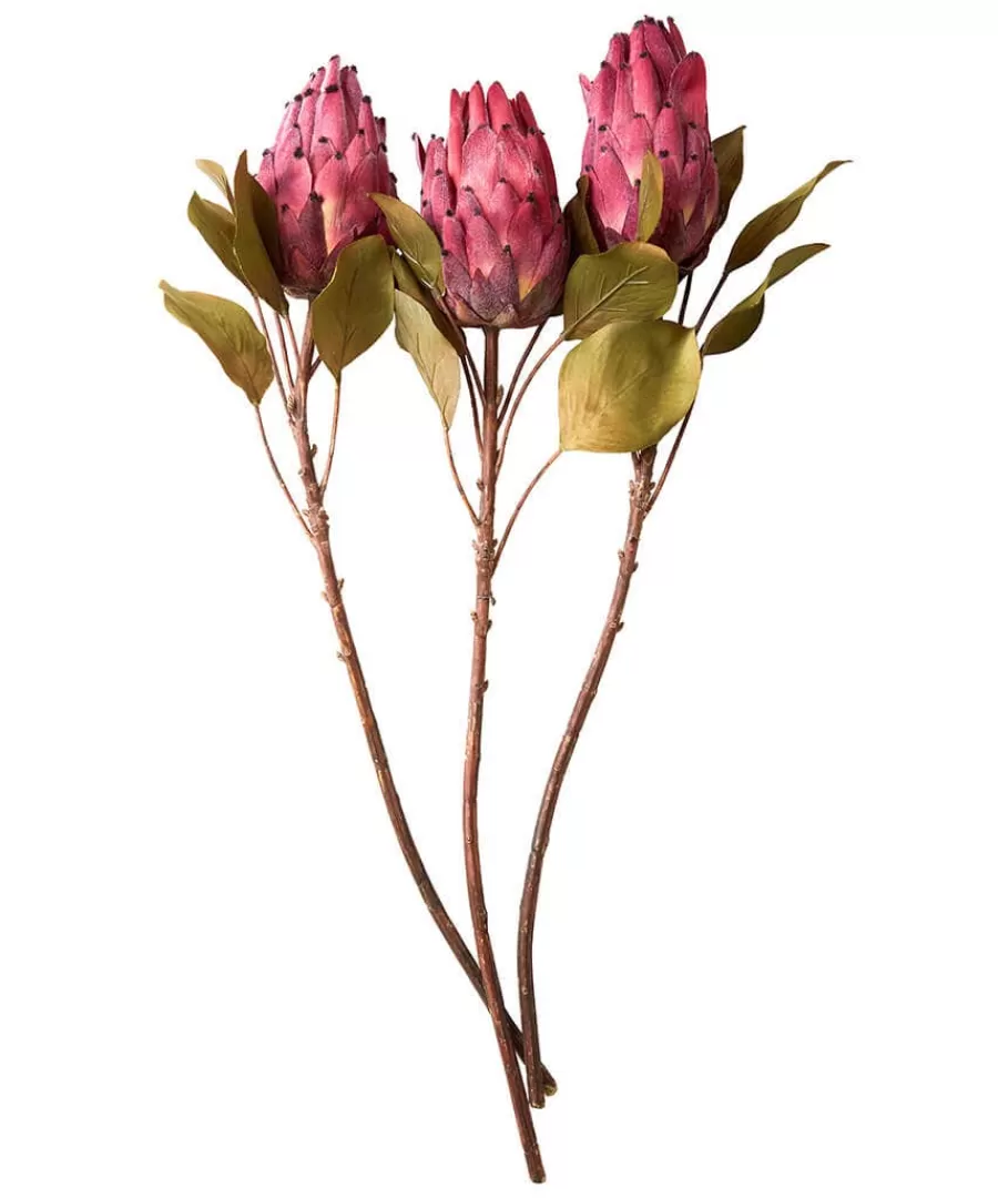 Outlet Joe Browns Pack Of 3 Pretty Protea Flower Stems Pink