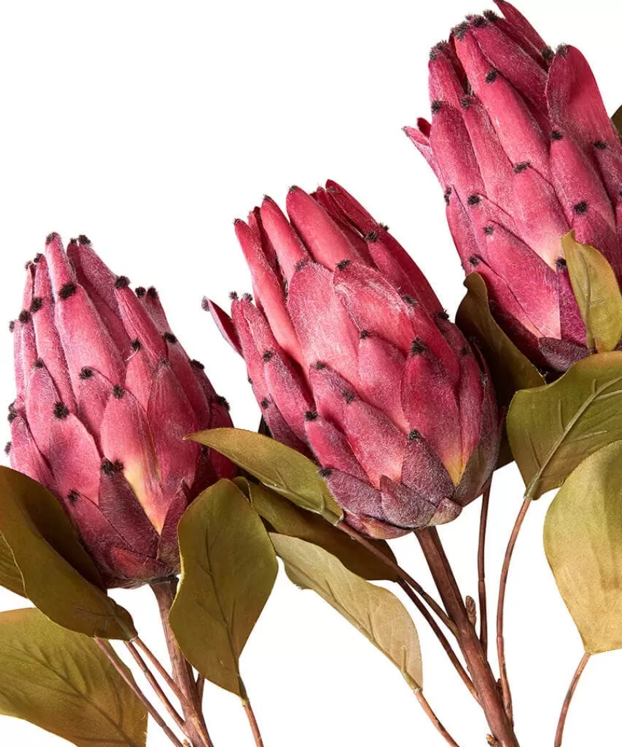 Outlet Joe Browns Pack Of 3 Pretty Protea Flower Stems Pink