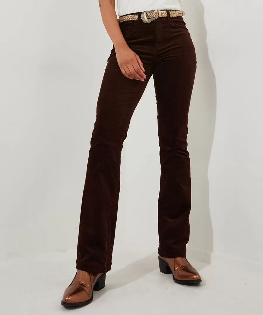 Shop Joe Browns Perfect Moleskin Trousers Chocolate