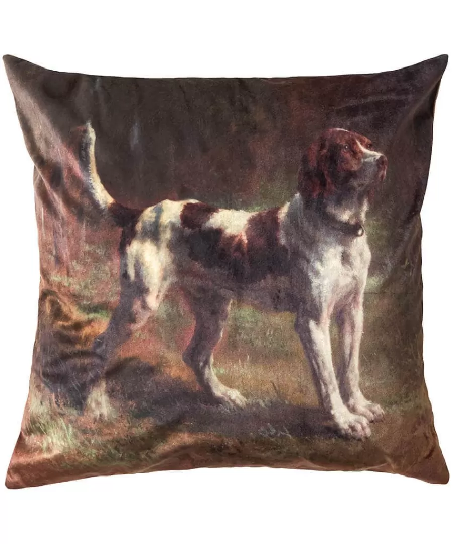 Hot Joe Browns Striking Spaniel Velvet Cushion Brown