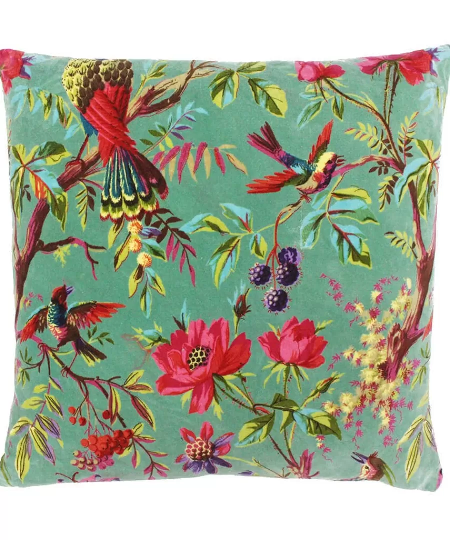 Online Joe Browns The Birds Of Paradise Cushion Aqua / Black