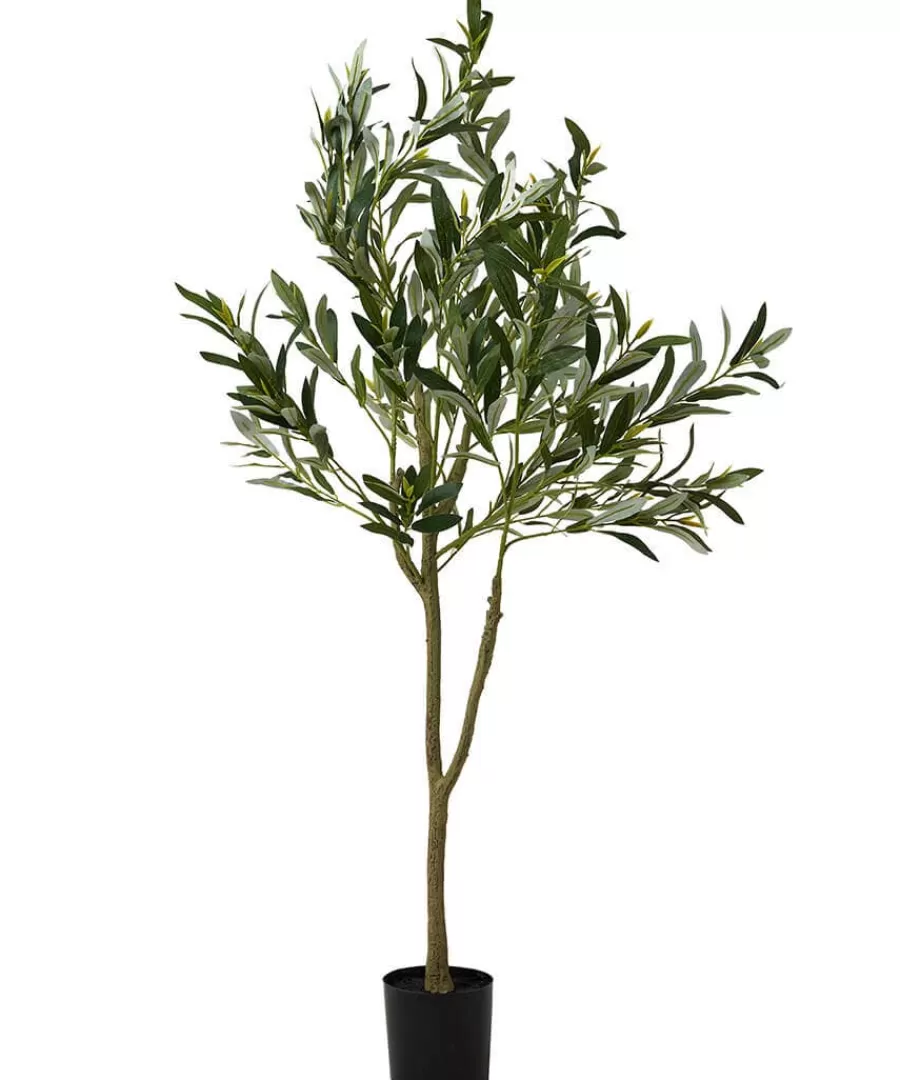 Sale Joe Browns The Tree Of Life Olive Tree Green