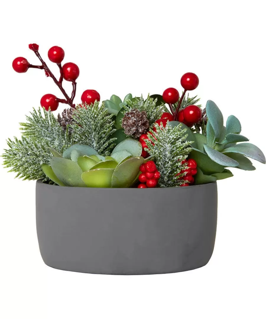 Cheap Joe Browns Tis The Season Succulent Red