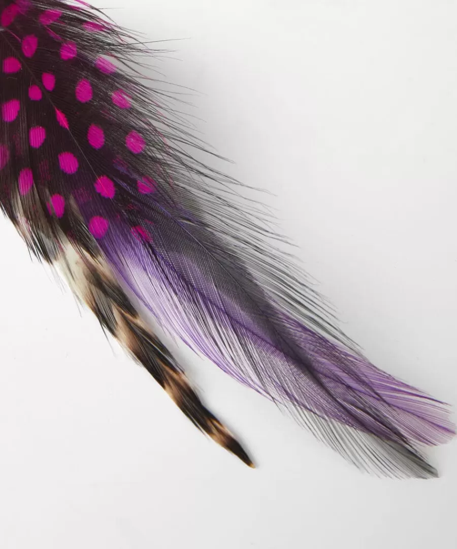 Flash Sale Joe Browns Vibrant Feather Pin Multi